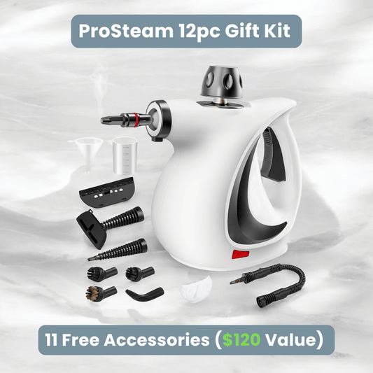 ProSteam 12 Attachment Hand Held Cleaning Kit